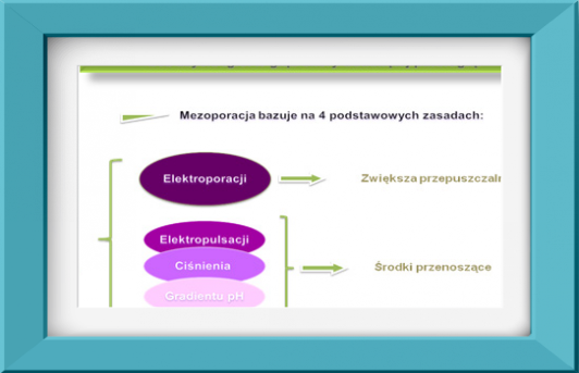 Image-mezoporacja-mezoterapia-acthyderm-schemat