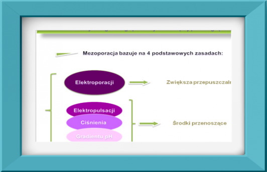 Image-mezoporacja-mezoterapia-acthyderm-schemat Image-mezoporacja-mezoterapia-acthyderm-schemat